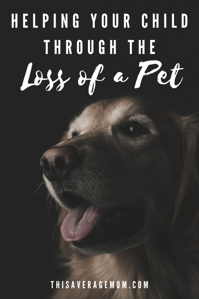 Dealing with the loss of a pet is never easy, but it’s especially hard when you also have to help your kids process their own pain too. On the blog, I’m sharing some ways we helped our 6 year old through the death of her dog.